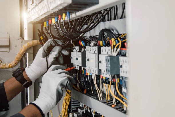 Best Ceiling Fan Installation Electrician  in Newton, TX